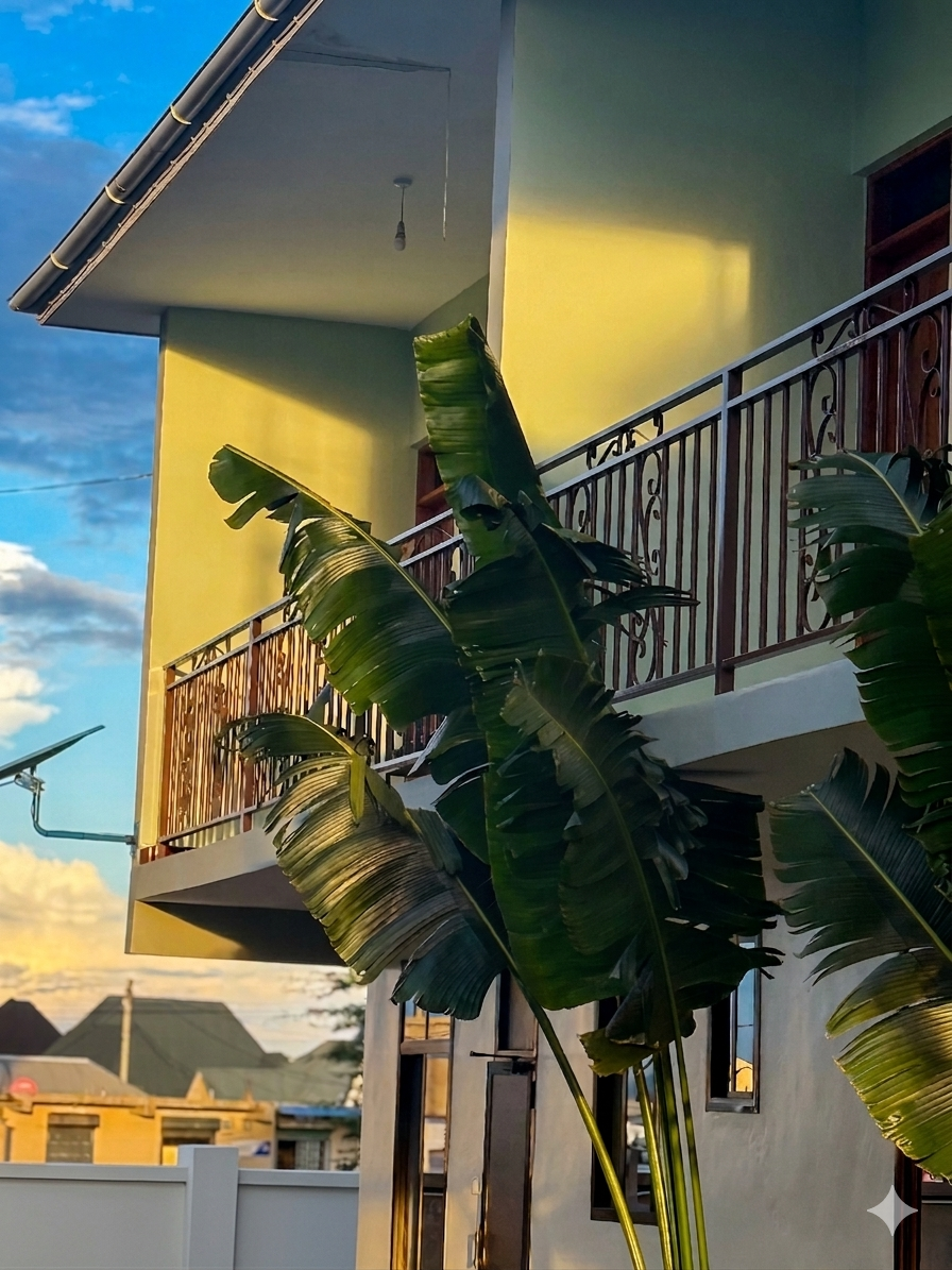 JBG House Story Image